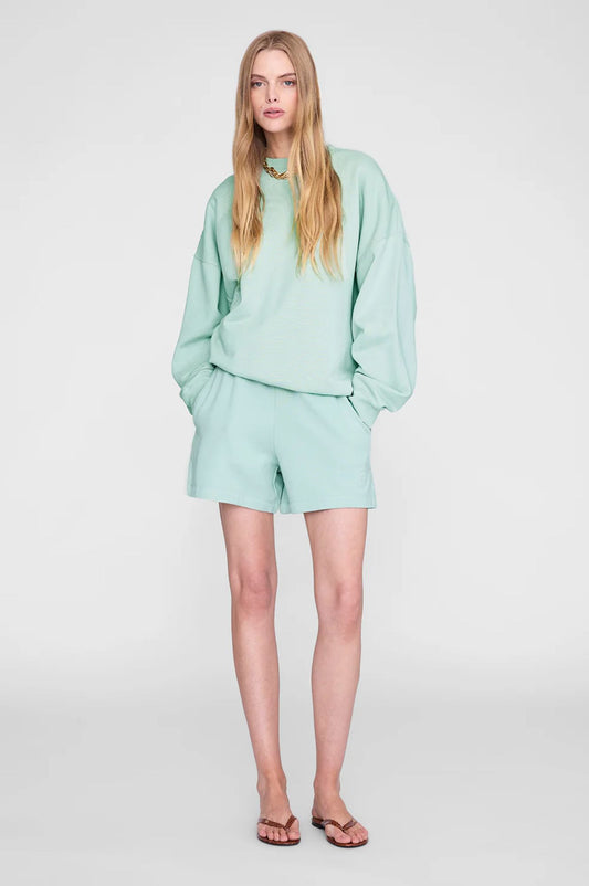 Anine Bing Miles Sweatshirt Washed Seafoam