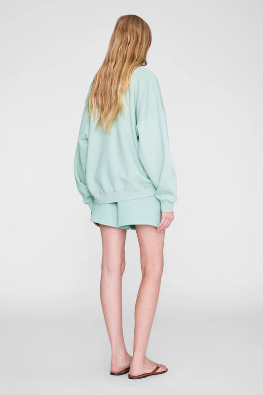 Anine Bing Kam Shorts Washed Seafoam